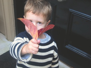 Boy with leaves 2